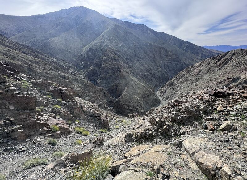 File:Willow Creek Canyon lookingdowngully.jpg