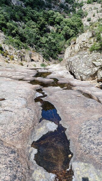 File:Oridda-20260712203914 pic.jpg