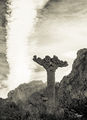 Thumbnail for version as of 22:58, 16 April 2021