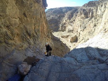 Gargoyle Canyon Banner.jpg