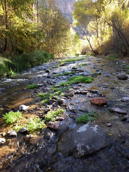 File:Aravaipa Canyon Banner.jpg