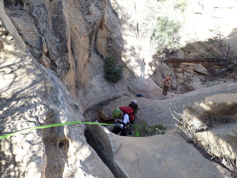 File:Cougar Canyon (New Mexico) pic6.jpg