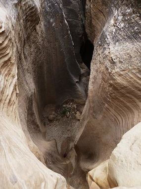 Mighty Mouse Canyon Banner.jpg