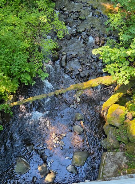 File:Flow 25 cfs.jpg