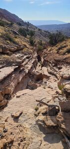 Tabaguache Canyon pic005.jpg