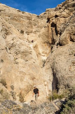 Zombie Canyon Banner.jpg
