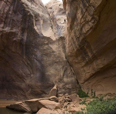 Dragonfly Canyon Banner.jpg