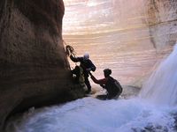 Deer Creek (Grand Canyon)-20180501024054 pic.jpg