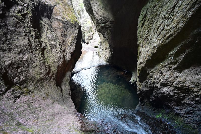 File:FILE-20211231033655.jpg