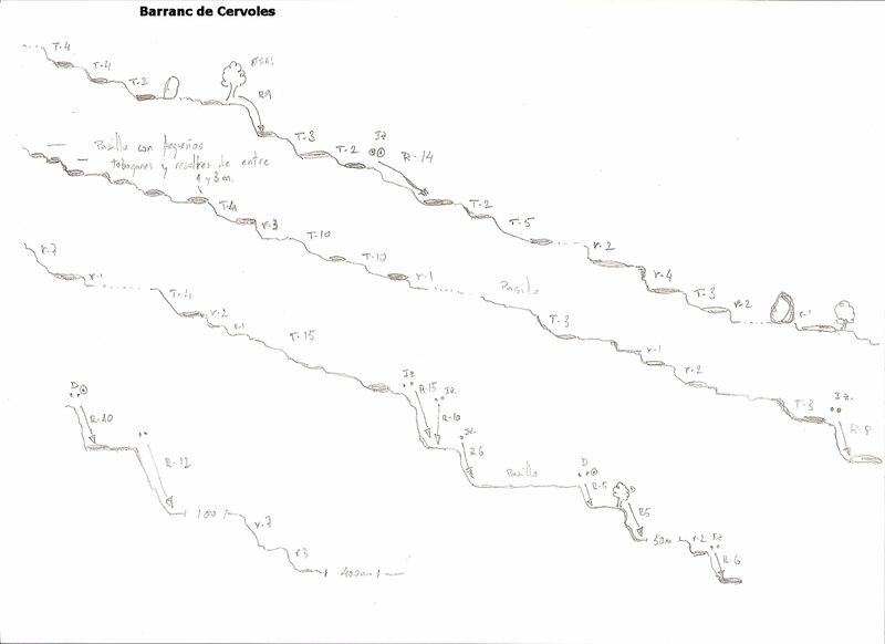 File:Paginas barrancos barranc de cervoles.jpg