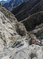 Thumbnail for version as of 04:56, 7 January 2020