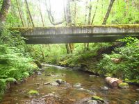 Yaquina River-20220718021639 pic.jpg