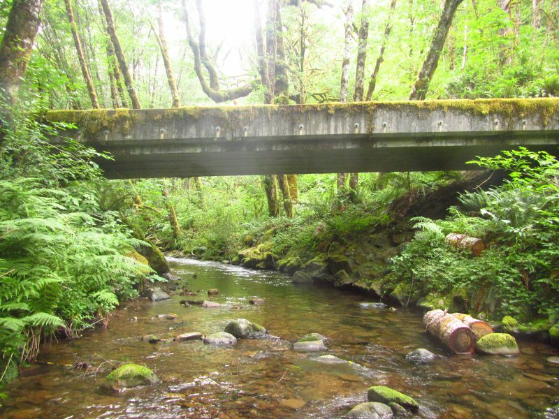 File:Yaquina River-20220718021639 pic.jpg