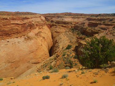 Arscenic Canyon Banner.jpg