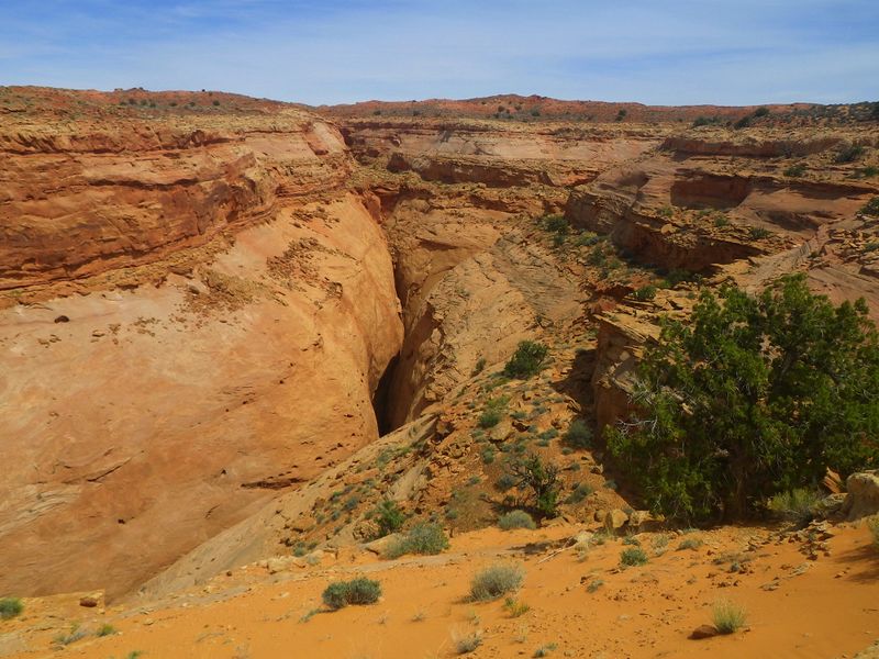 File:Arscenic Canyon Banner.jpg