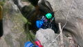 Thumbnail for version as of 05:20, 15 September 2024