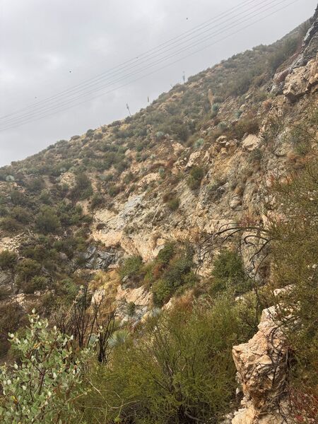 File:FILE-20250309160035.jpg