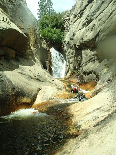 File:Grizzly Creek Banner.jpg