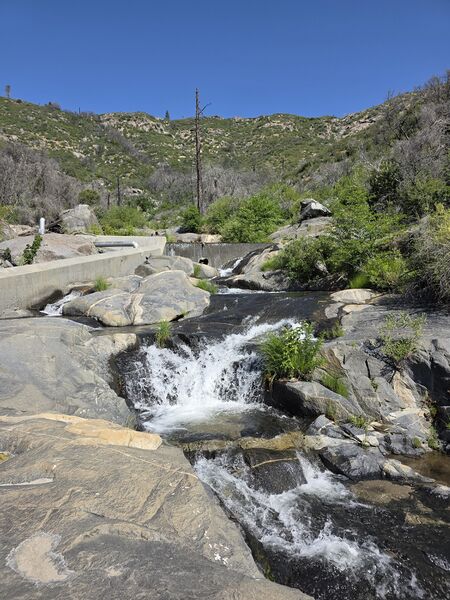 File:Ross Creek-20250608055924 pic.jpg