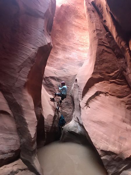 File:Sinusitis Canyon Banner.jpg