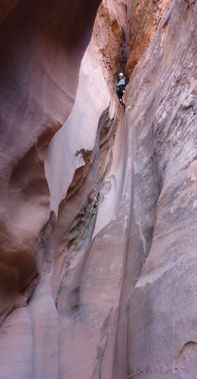 Bingo Canyon Banner.jpg