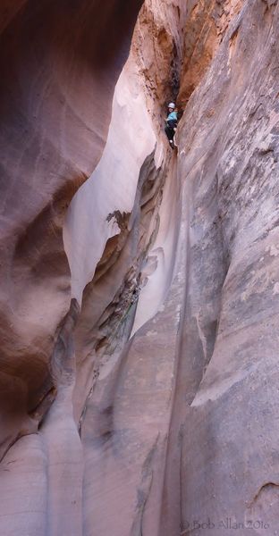 File:Bingo Canyon Banner.jpg