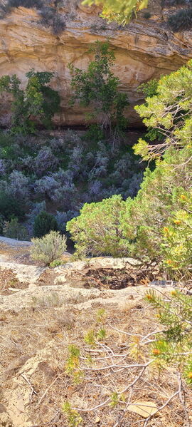 File:Carcass Canyon (Dinosaur) pic02.jpg