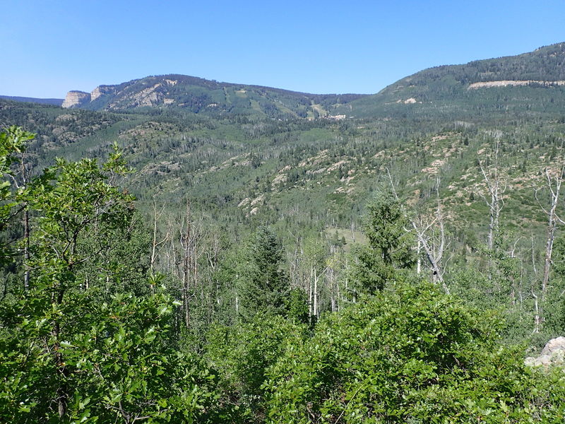 File:Lime Creek (Durango) Lime002.jpg
