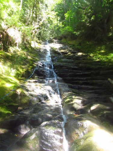 Hopkins Creek-20200715013910 pic.jpg
