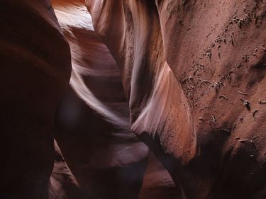 Ringtail Canyon Banner.jpg