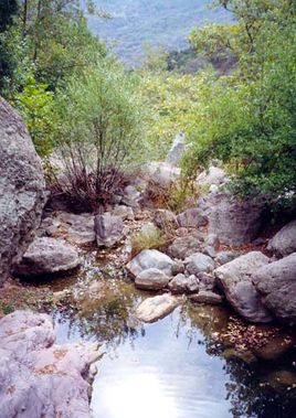 Zuma Canyon Banner.jpg