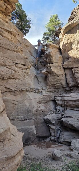 File:Mee Stone King pic001.jpg