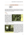 Thumbnail for version as of 18:23, 2 June 2016