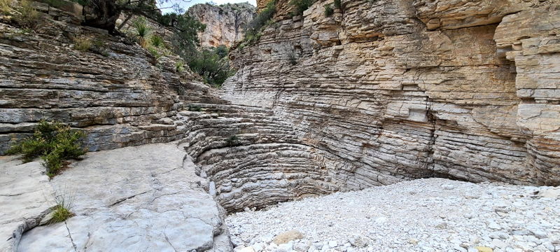 File:Pine Springs (Devil's Hall) pic9.jpg