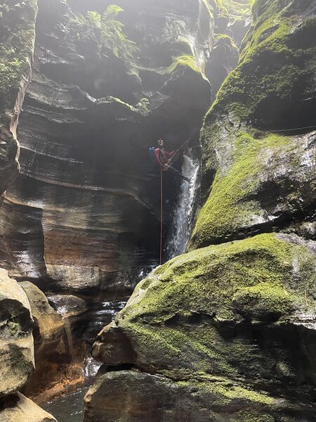 File:Ranon common p5 bottom.jpg