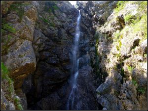 Rio Gormoran3.jpg