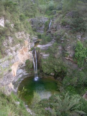 Salto Novia Banner.jpg