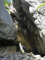 Thumbnail for version as of 17:25, 23 August 2024
