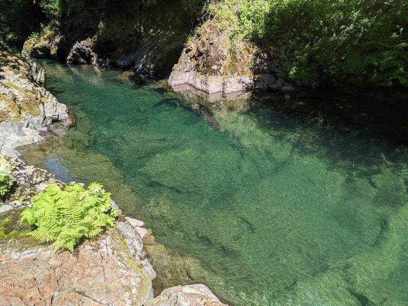 File:Fools Canyon (Olympic Peninsula) final pool.jpg