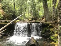 Quicksilver Creek-20200726043827 pic.jpg