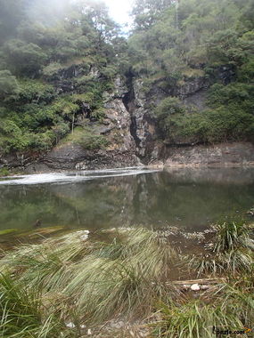 Silent Pool Banner.jpg