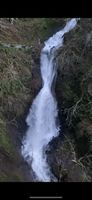Young Creek-20220117151750 pic.jpg
