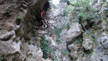 Zoodochos Pigi Canyon Banner.jpg