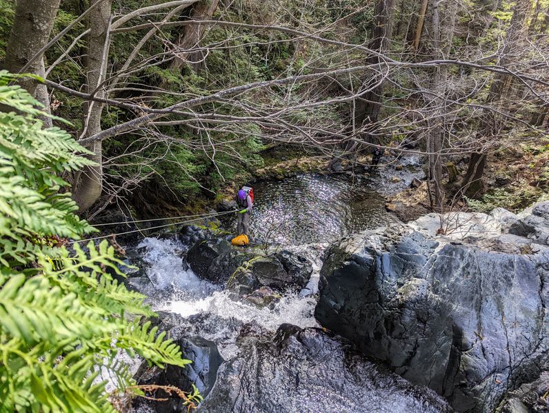 File:Alder Creek (Christmas Canyon) R1-c.jpg