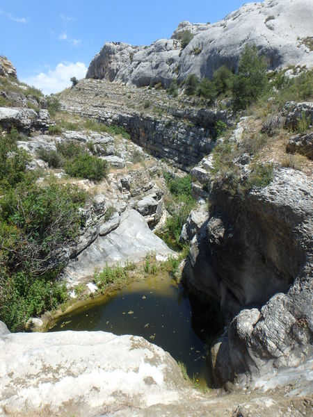 File:Pantanet Banner.jpg