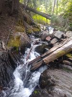 Sailor Canyon-20210621170748 pic.jpg