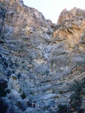 Bighorn Canyon (South Fork) Banner.jpg
