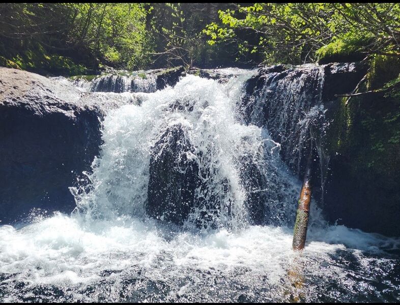 File:Dark Creek-20230626142110 pic.jpg