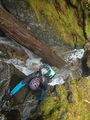 Thumbnail for version as of 03:13, 24 September 2020