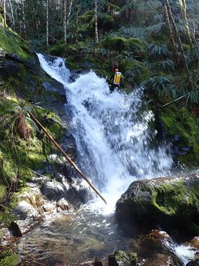 Triangulation Creek Banner.jpg